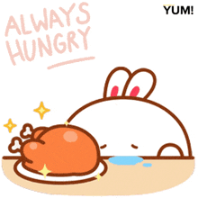 Hungry Bunny GIF