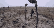 Abandoned Deserted GIF - Abandoned Deserted Vacant GIFs