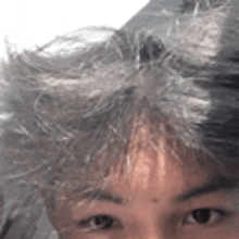a close up of a person 's face with a lot of hair on it .
