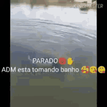 atm parado is taking a bath carabao bathing river carabao bathing