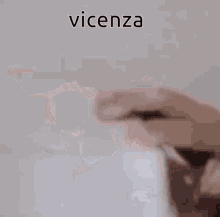 Vicenza GIF - Vicenza GIFs