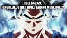 Rules Goku GIF - Rules Goku Goku Rule GIFs