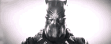 black panther chadwick boseman superhero mcu marvel