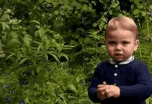 Baby Prince Louis GIF - Baby Prince Louis Royal Family GIFs