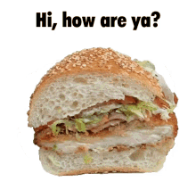 hi sandwich