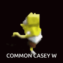 Casey Common Casey W GIF - Casey Common Casey W GIFs