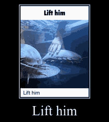Lift Him Isopod GIF