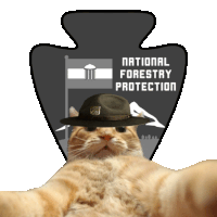 Nfp Cat Cat Drill Sergeant Sticker - Nfp Cat Cat Drill Sergeant Stickers