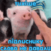 a person is touching a pig 's nose with their finger in a meme .