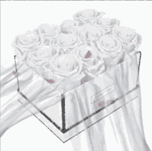 Rosse Ruže GIF - Rosse Ruže Rose GIFs