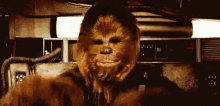 Chewbacca GIF