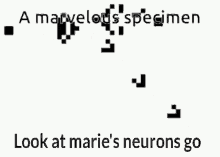 neuron marie