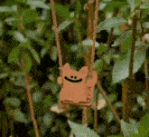 a cat is sitting on a swing hanging from a tree branch .
