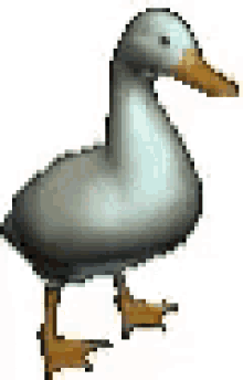 Quack Duck GIF