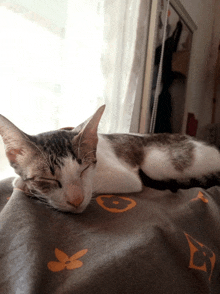 a cat laying on a louis vuitton blanket with its eyes closed