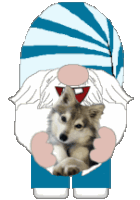 Gnome Wolf Sticker