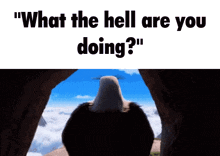 an eagle is looking out of a cave with the words " what the hell are you doing " above it