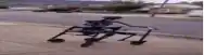 a skeleton is riding a walker down a street .