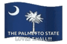 South Carolina Flag GIF - South Carolina Flag GIFs