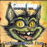 a drawing of a cat with yellow eyes and the words good day cat named toast fan