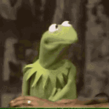 kermit the frog mad