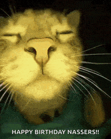 a close up of a cat 's face with the words " happy birthday nassers " below it
