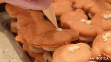 a close up of a person icing a cookie with the words made in animatica visible