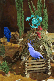 a blue bird with a crown on its head is sitting on a wooden fence surrounded by pine cones and flowers