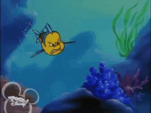 a cartoon fish is swimming in the ocean with a toon disney logo in the background
