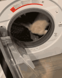 Running Washing Machine GIF - Running Washing Machine Playful GIFs