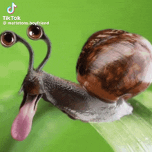 a snail with two eyes and a long tongue sticking out of its mouth .