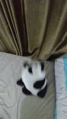Bounce Funny GIF - Bounce Funny Panda GIFs
