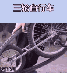 Gif Pet Wheel GIF - Gif Pet Wheel Bike Modifications GIFs