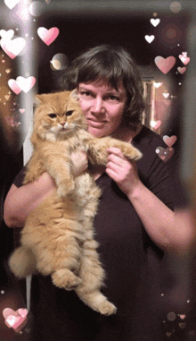 a woman holds a fluffy cat in her arms