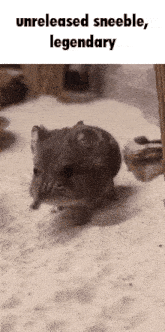 a hamster is walking on a sandy surface with the words `` unreleased sneeble , legendary '' written on it .