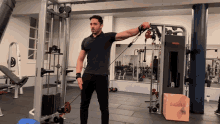 Cable Lateral Raise Single Arm GIF
