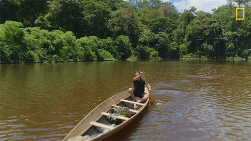 River Amazon GIFs | Tenor