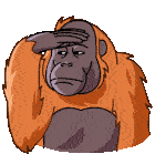 Orangutan Telegram Orangutan Sticker