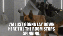 Dizzy Exhausted GIF - Dizzy Exhausted Dog GIFs
