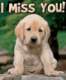 Miss You 1 GIF - Miss You 1 GIFs