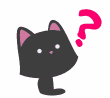 felinia cat doubt domanda question