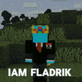 Fladrik Legendfladrik GIF - Fladrik Legendfladrik Minecraft GIFs