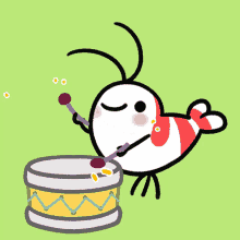 drumming banging drums music slap shy shrimp