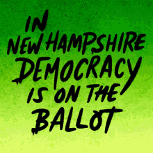 Heysp New Hampshire Election GIF - Heysp New Hampshire Election On The Ballot GIFs