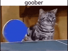 Goober Pingpong GIF - Goober Pingpong Table Tennis GIFs
