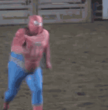 Spider Man Fake GIF