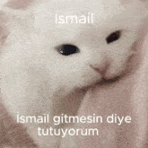 Ismail GIF
