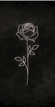 Tano Rose GIF - Tano Rose GIFs