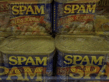 junk spam