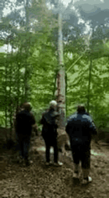 Funny Accident Funny Fail GIF - Funny Accident Funny Fail Man Hit In Testicles By Tree GIFs